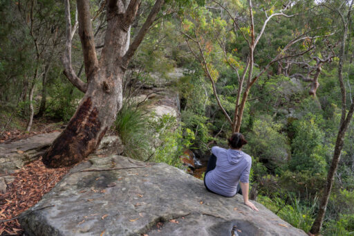 The Royal Ramble Overnighter, Sydney