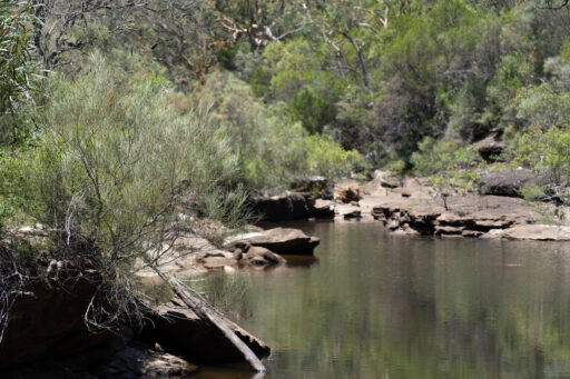 The Royal Ramble Overnighter, Sydney