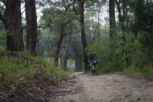 The Royal Ramble Overnighter, Sydney