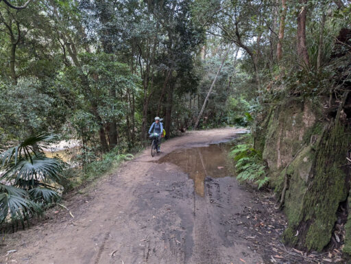 The Royal Ramble Overnighter, Sydney