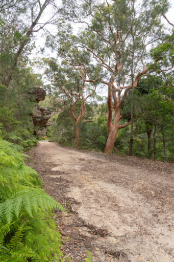 The Royal Ramble Overnighter, Sydney