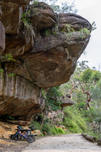 The Royal Ramble Overnighter, Sydney