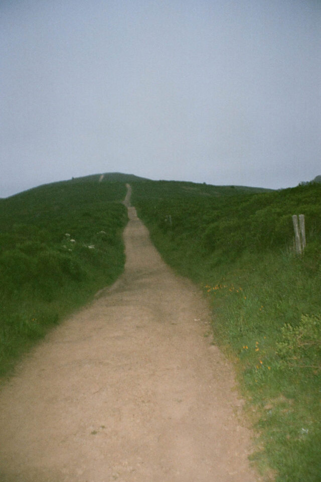 bikepack the bay 2025