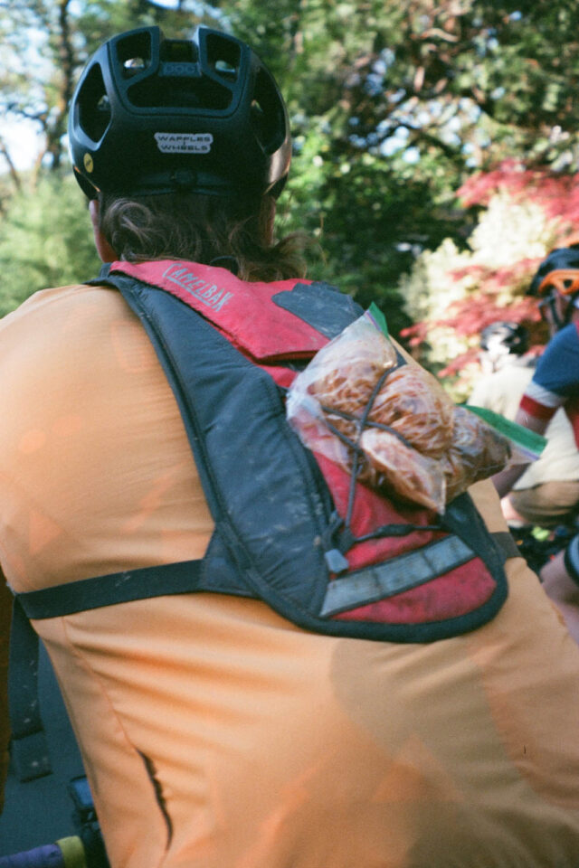 bikepack the bay 2025