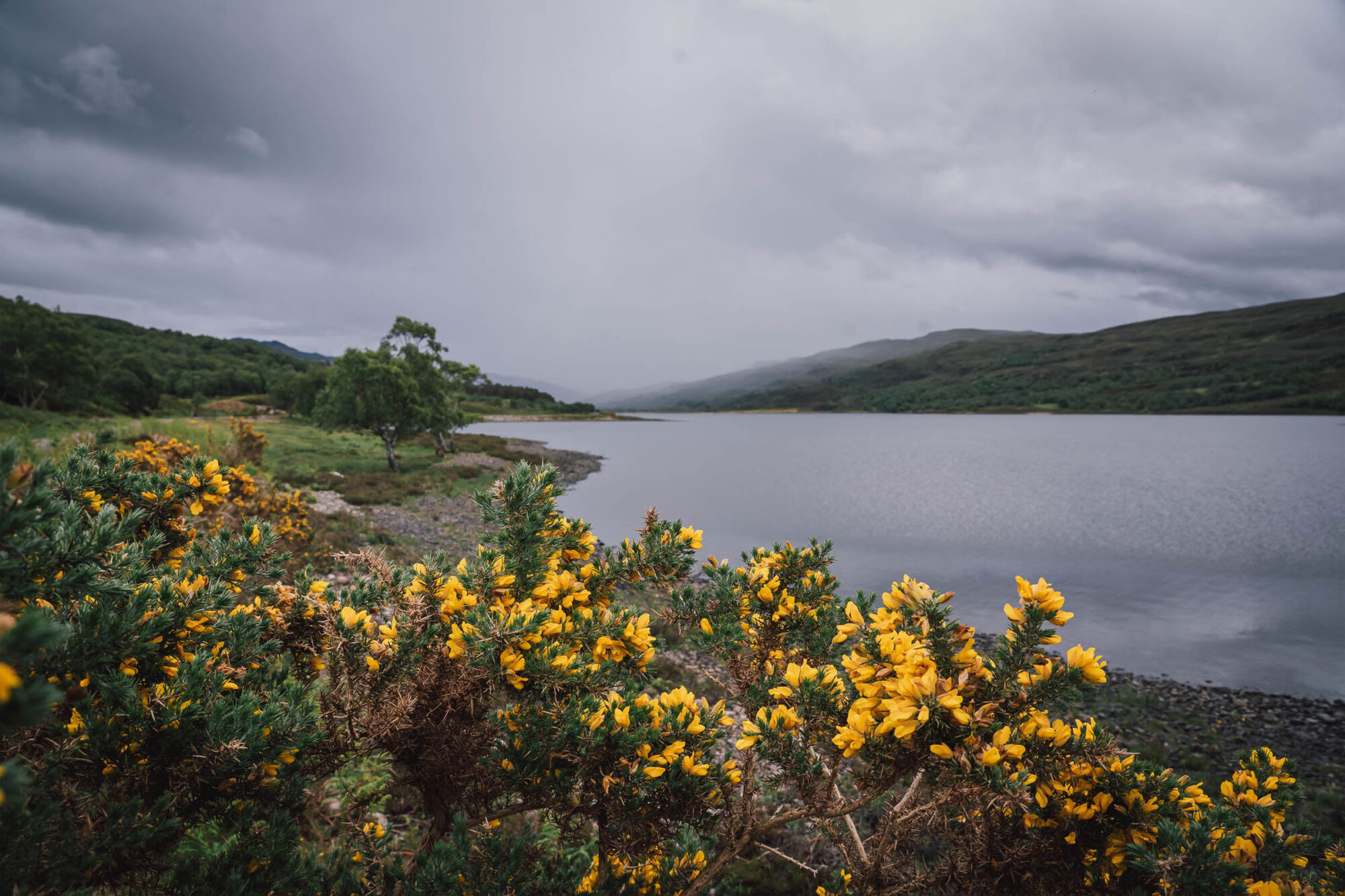 2025 highland trail 550