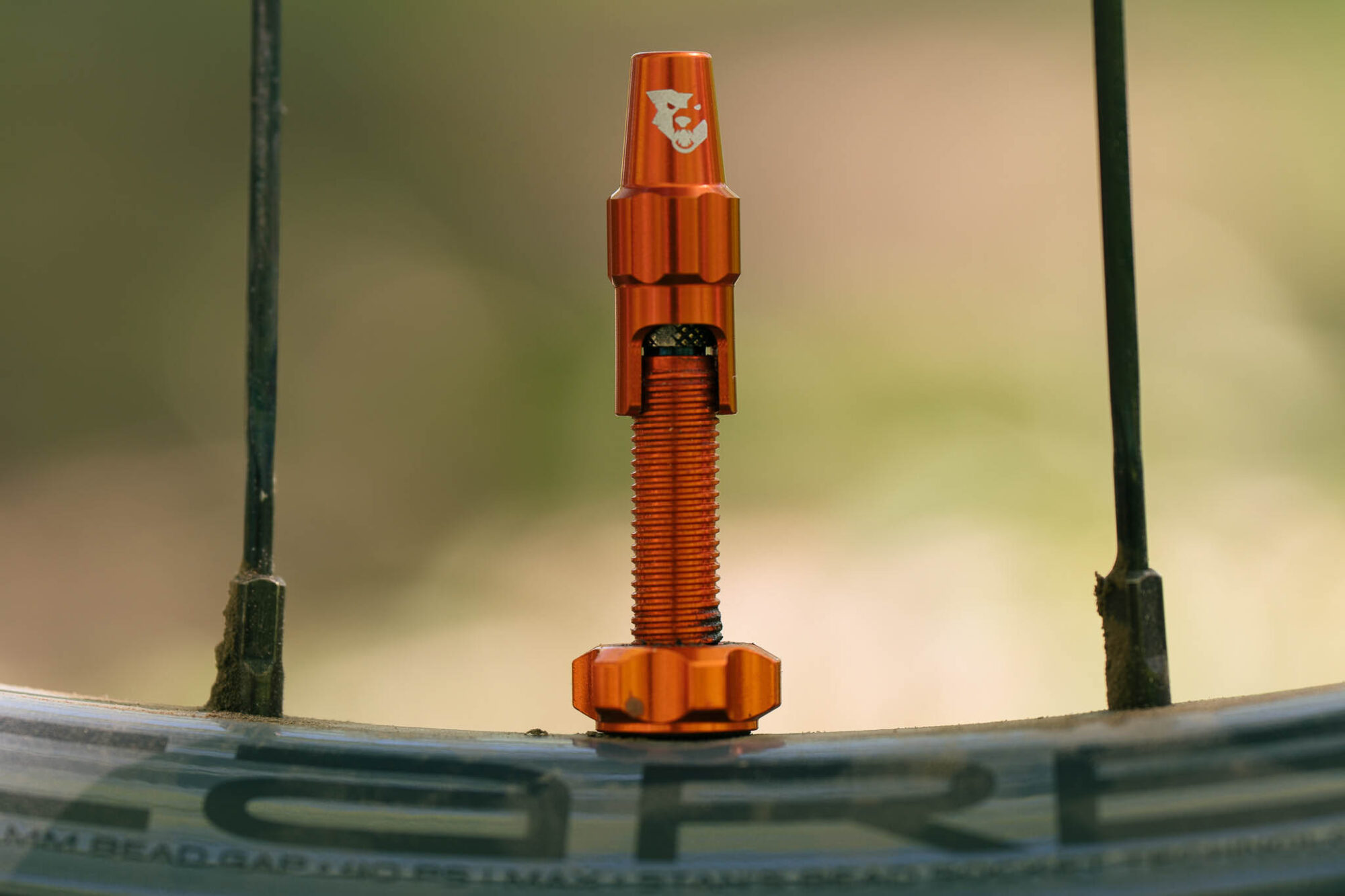 Wolf Tooth Launches First Clik Valve Hand Pump - BIKEPACKING.com