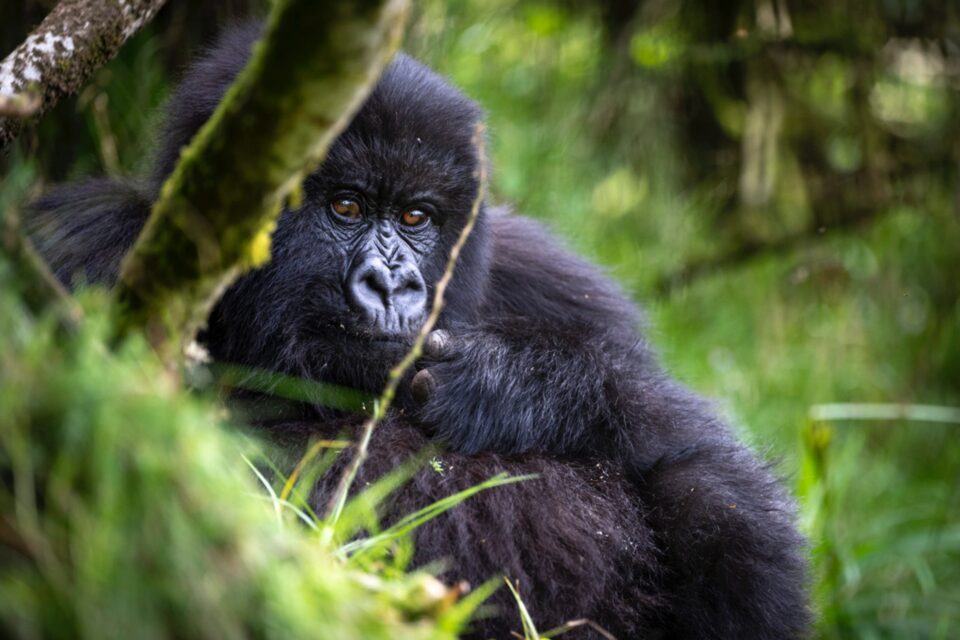 2025 Race Around Rwanda