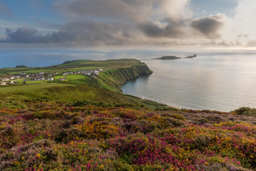 Gower Gold Overnighter