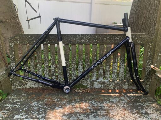 singularperegrine1