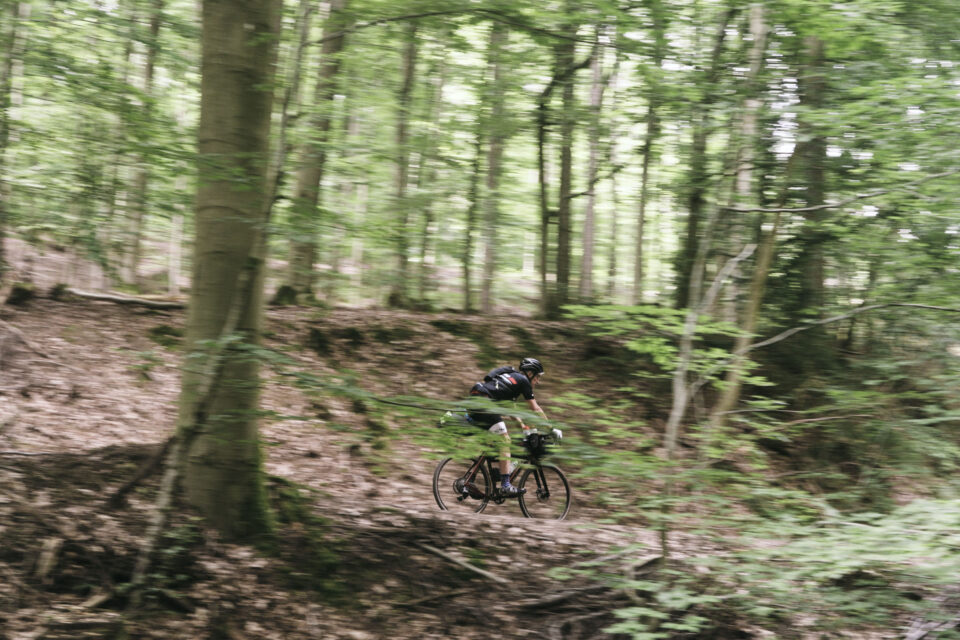 Taunus Tales