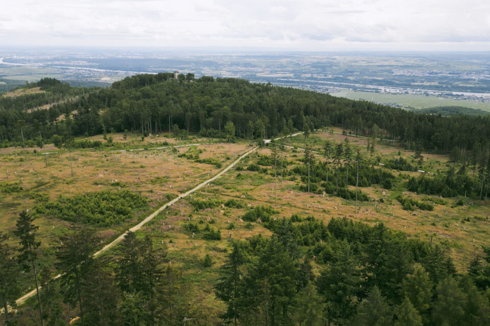 Taunus Tales