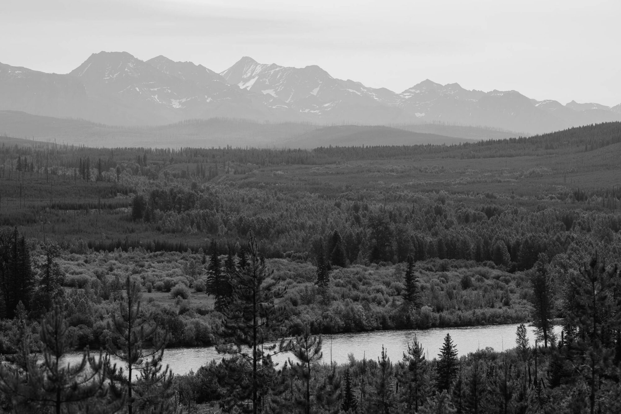 Tracing the 2025 Tour Divide Eddie Clark