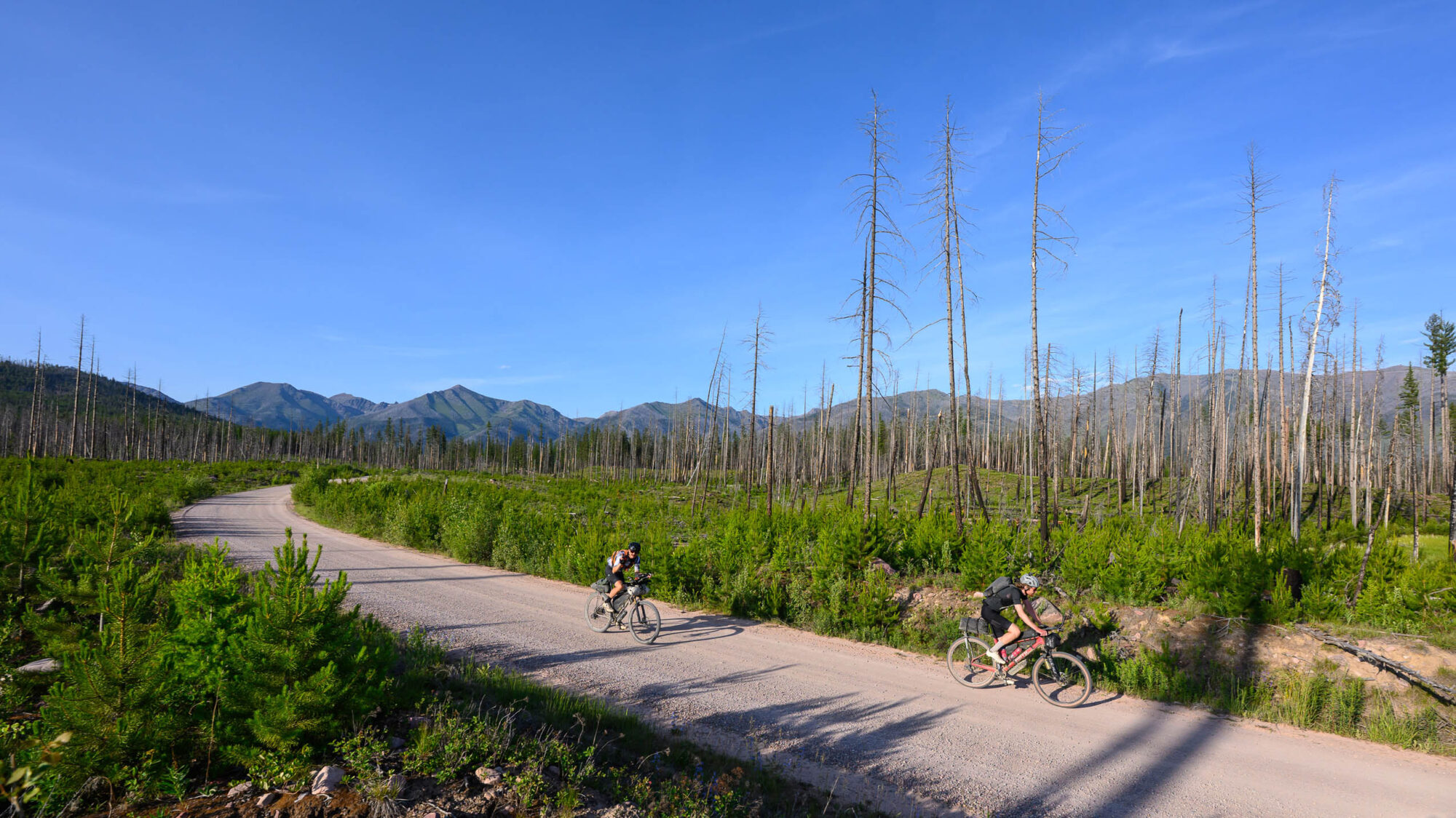 Tracing the 2025 Tour Divide Eddie Clark