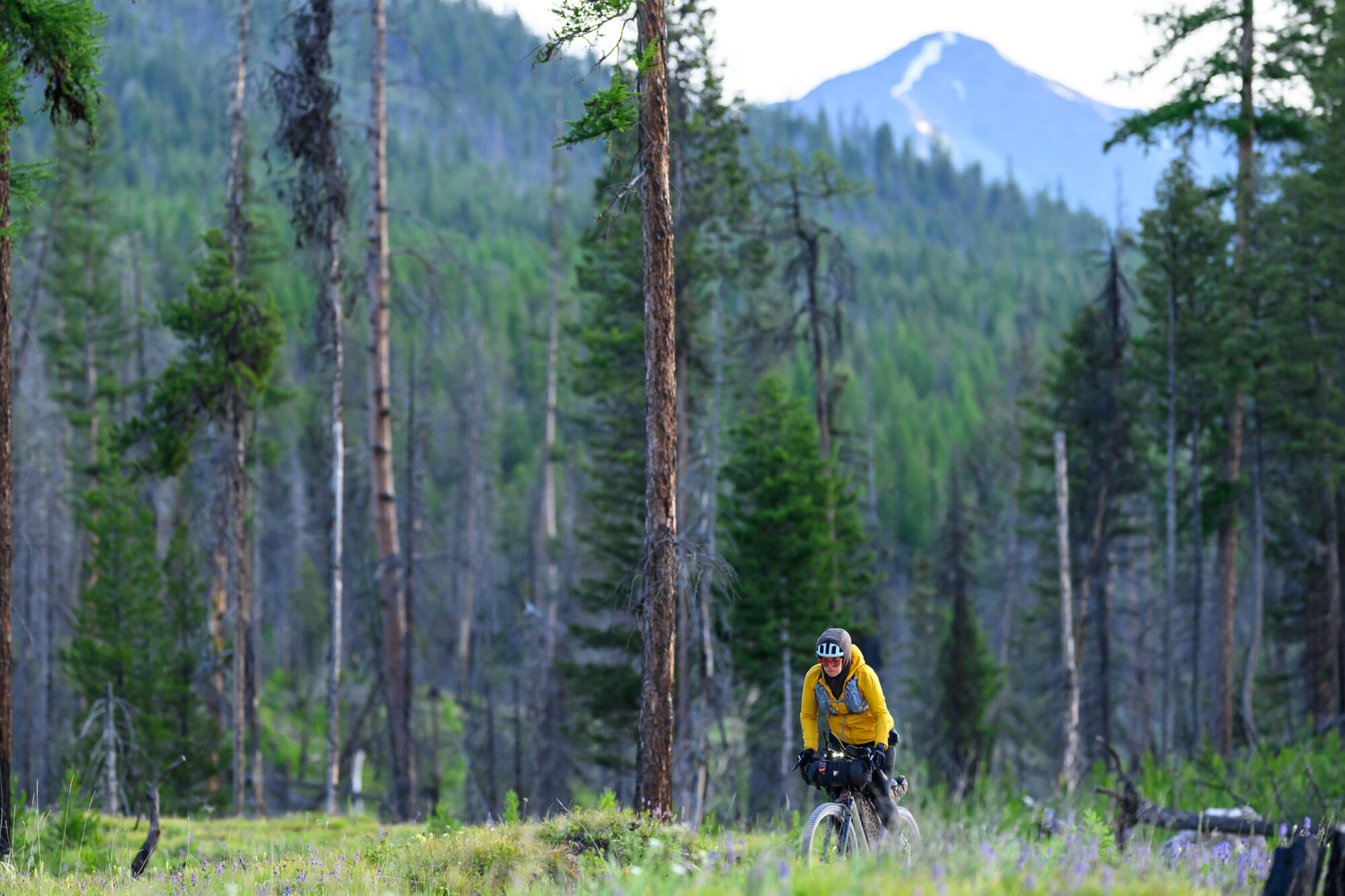 Tracing the 2025 Tour Divide Eddie Clark