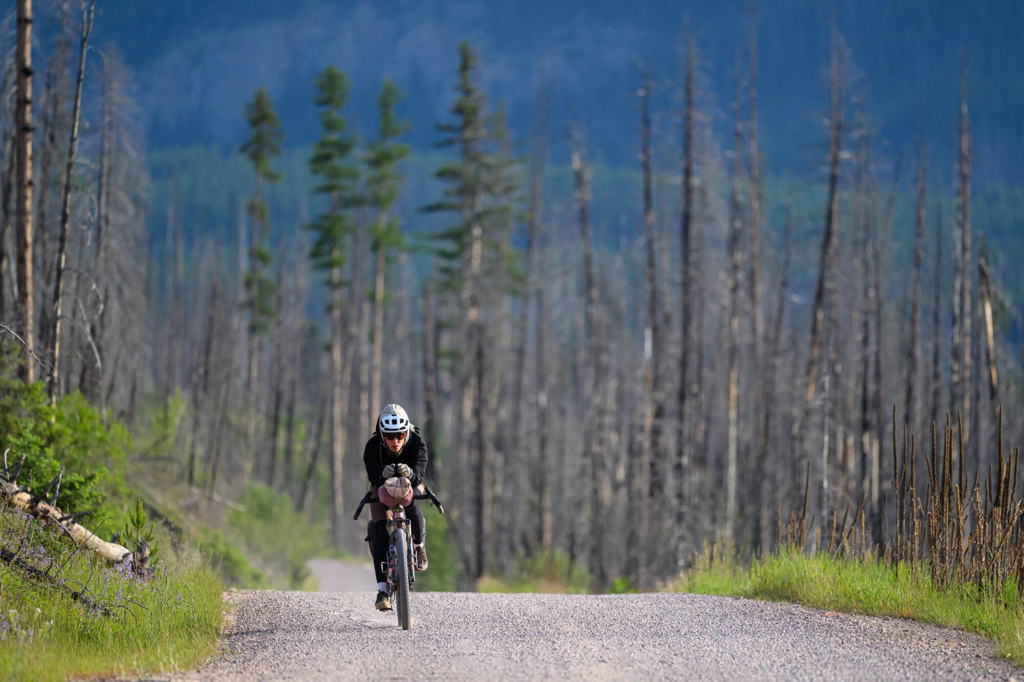 Tracing the 2025 Tour Divide Eddie Clark