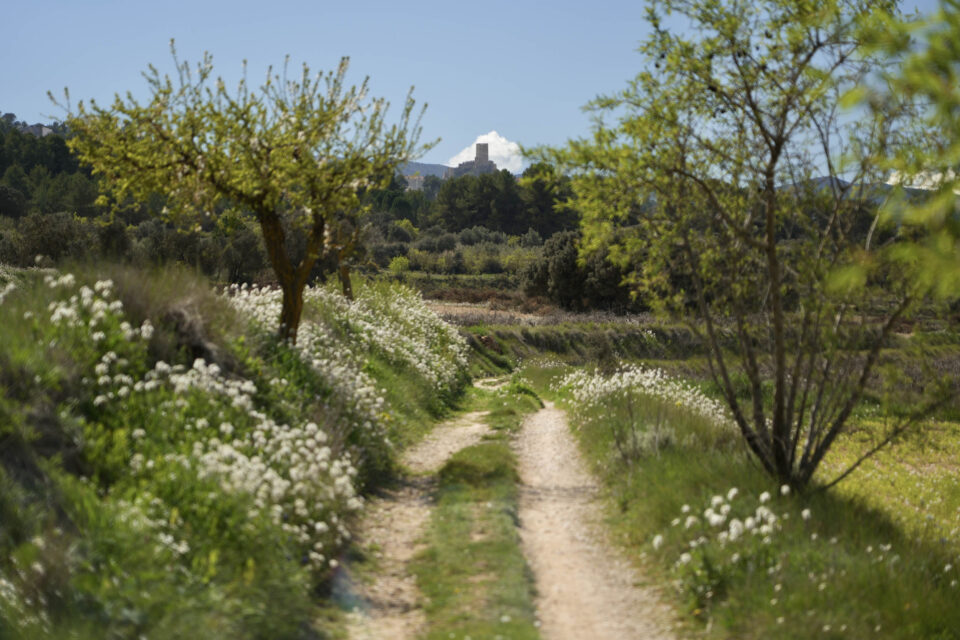 Caminos del Sol bikepacking route