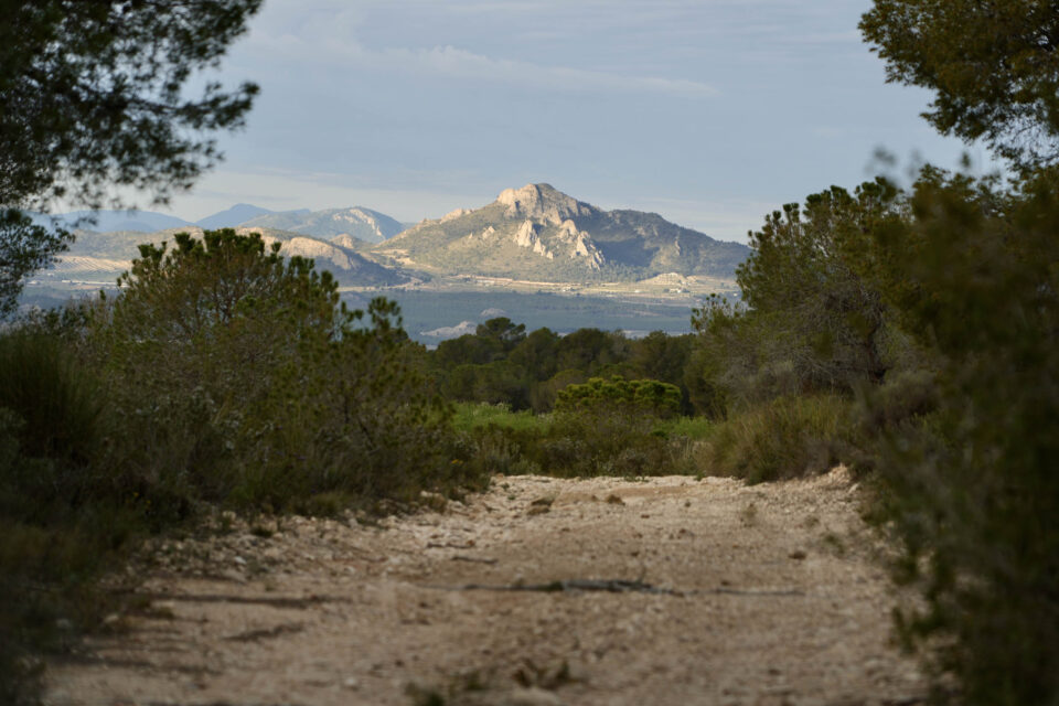 Caminos del Sol bikepacking route