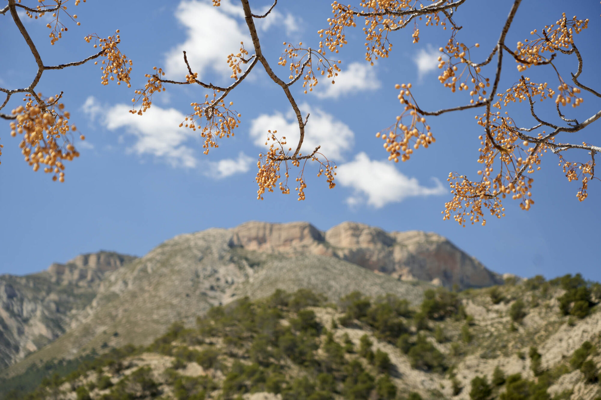 Caminos del Sol bikepacking route