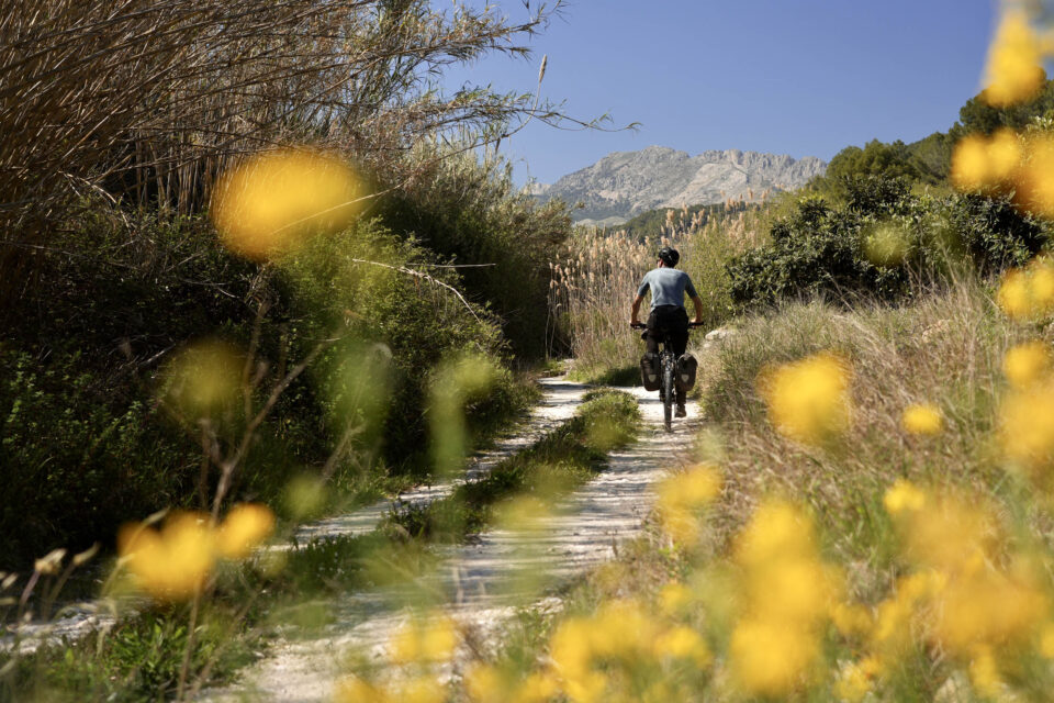 Caminos del Sol