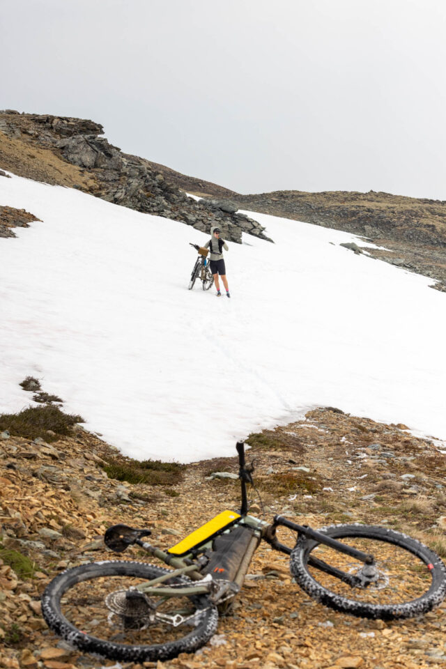 Rogue Panda Catalina full length top tube bag review