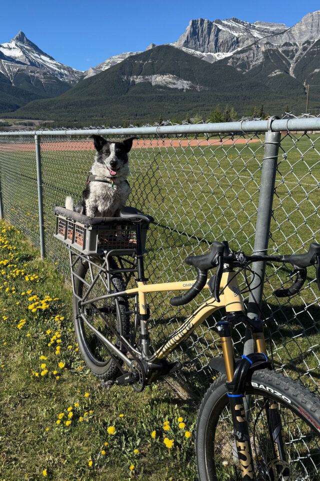 Xtracycle OmniTierra