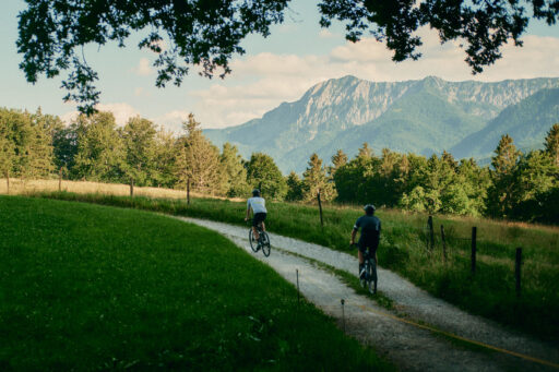 2025 brother in the wild munich recap