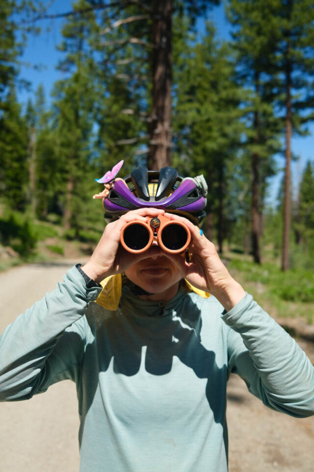 Beginner's Guide to Bike Birding