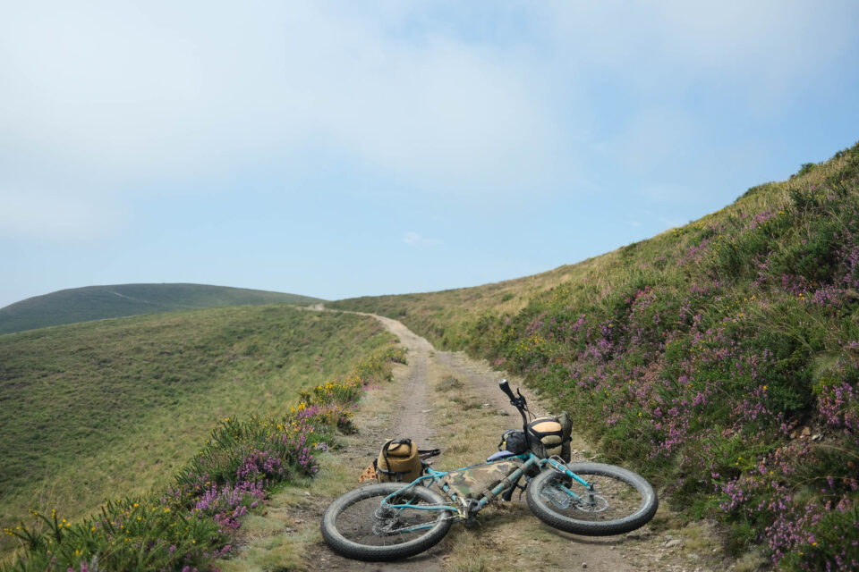 Beginner's Guide to Bike Birding