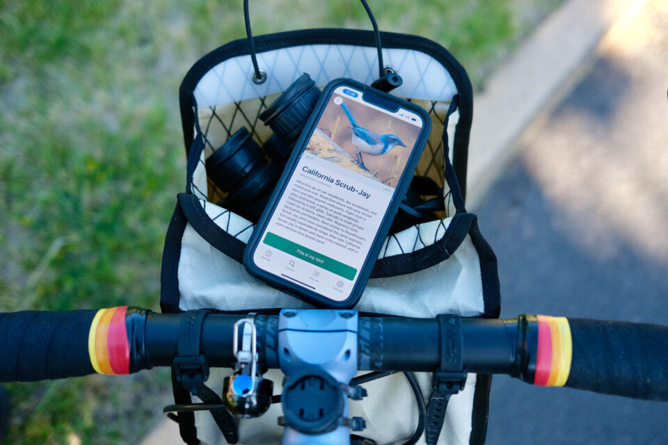 Beginner's Guide to Bike Birding