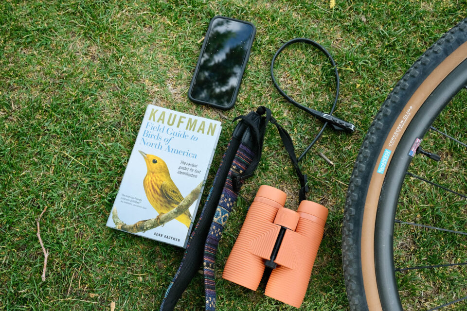 Beginner's Guide to Bike Birding