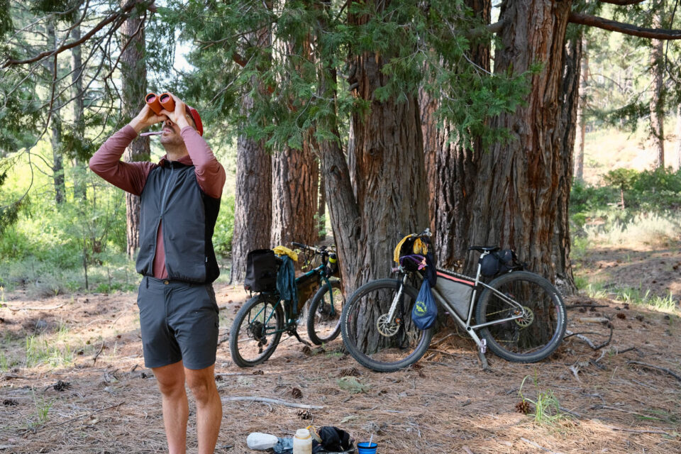 Beginner's Guide to Bike Birding