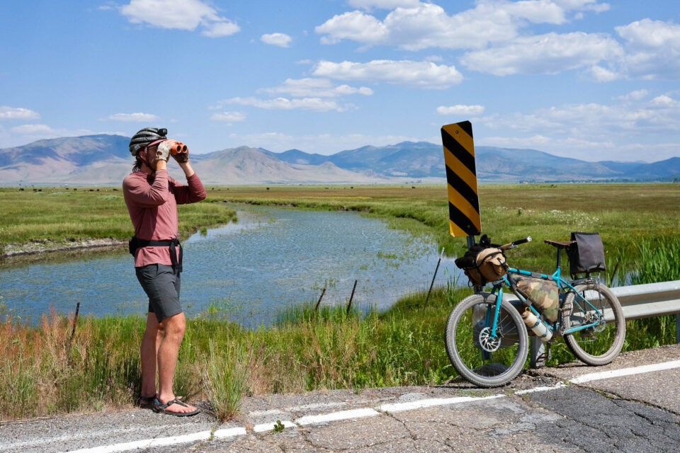 Beginner's Guide to Bike Birding