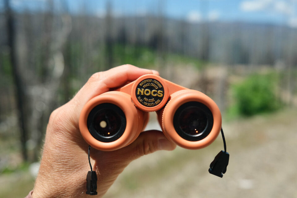 Beginner's Guide to Bike Birding