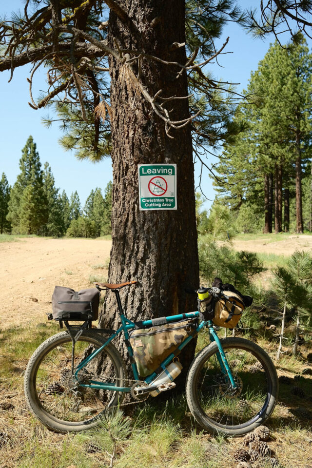 Beginner's Guide to Bike Birding