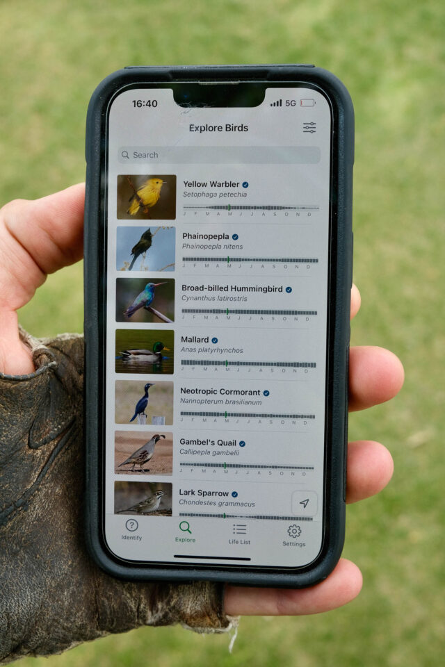 Beginner's Guide to Bike Birding