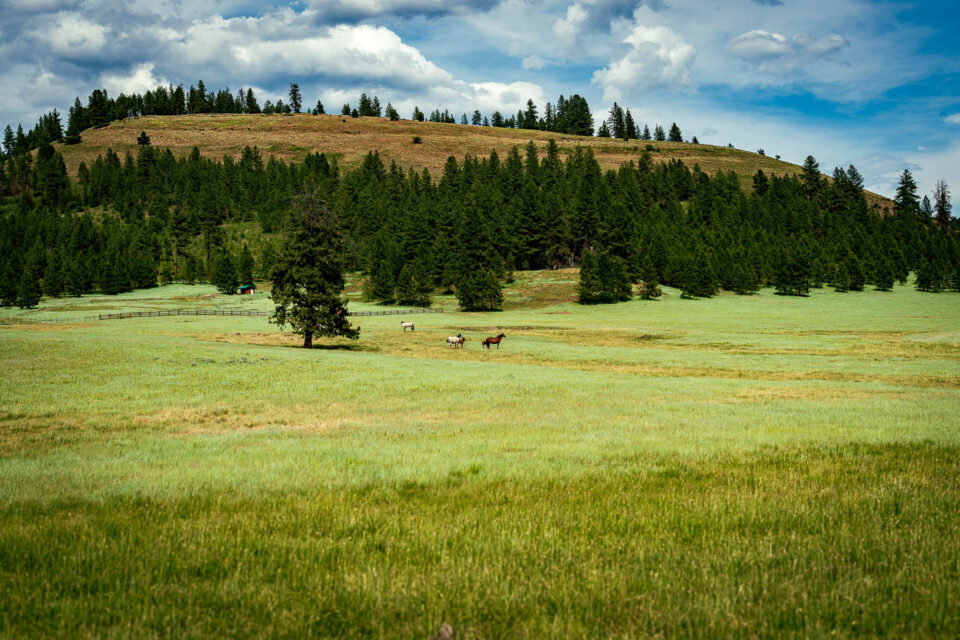 Bikepacking Northern Blues and Wallowa Gravel Loop