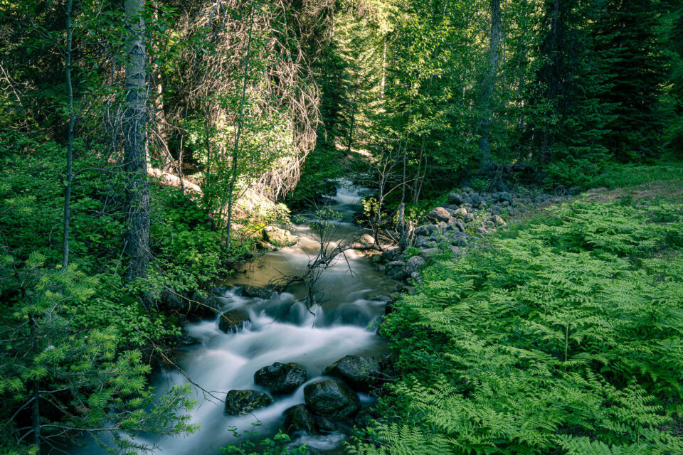 Bikepacking Northern Blues and Wallowa Gravel Loop