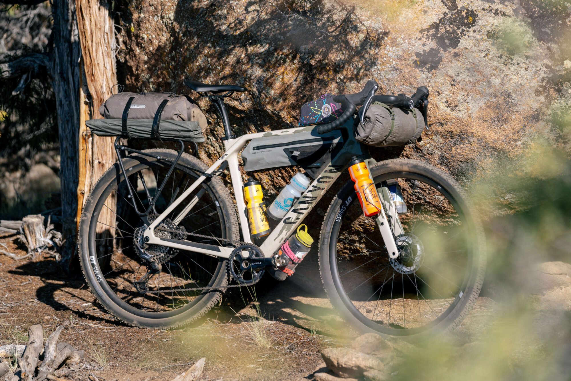 Canyon Grizl Escape ECLIPS Review