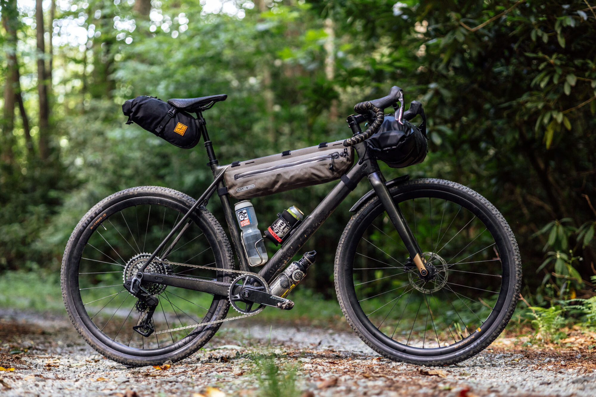 Norco Search Review, Search Carbon