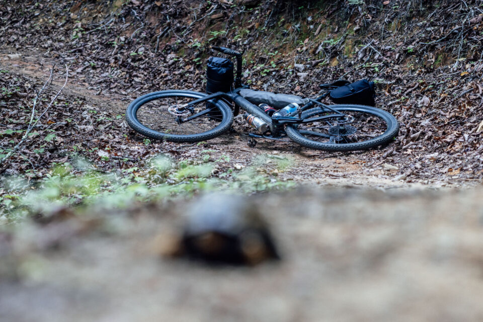Norco Search Review, Search Carbon