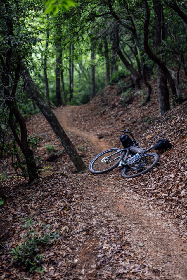 Norco Search Review, Search Carbon
