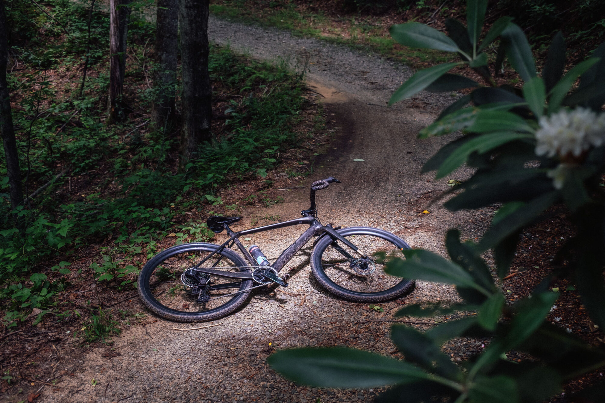 Norco Search Review, Search Carbon