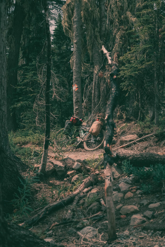 Brother Cycles Big Bro