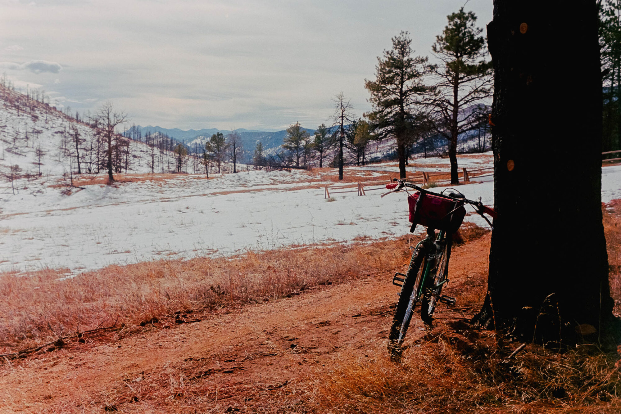 Pablo Selman photography