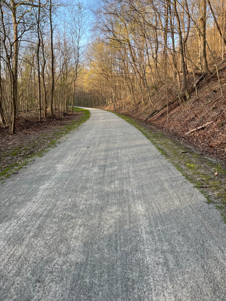 Scarlet Zeigler World Record