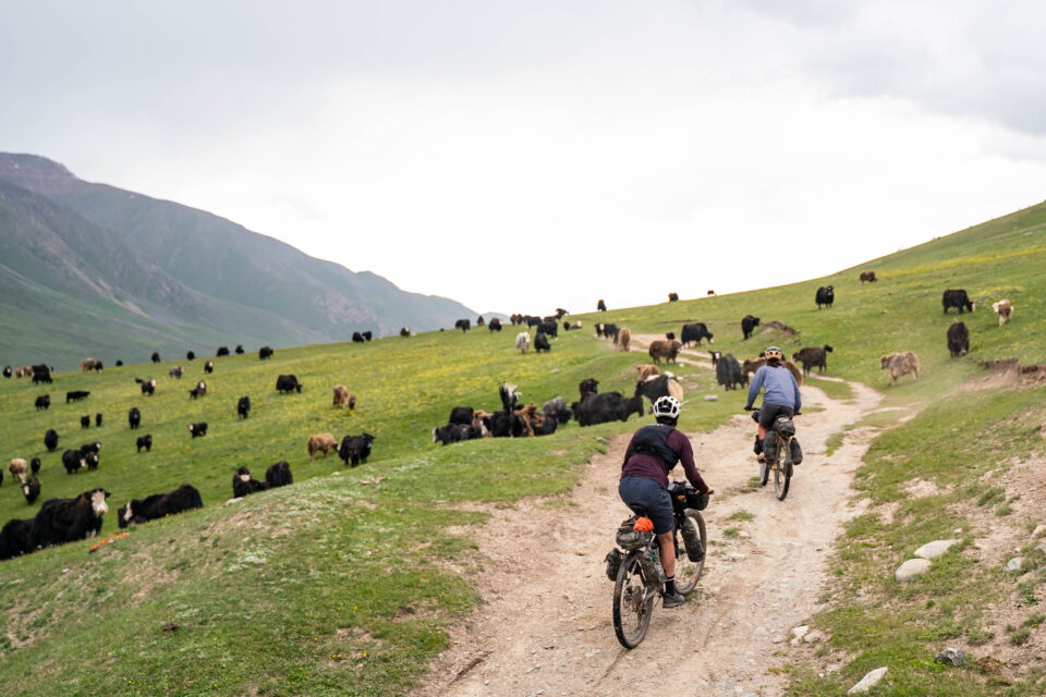 Spring in the Tian Shan Mountains, Bikepacking Kyrgyzstan