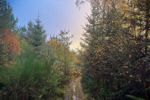 The Wildcat Biikepacking Route, Scotland