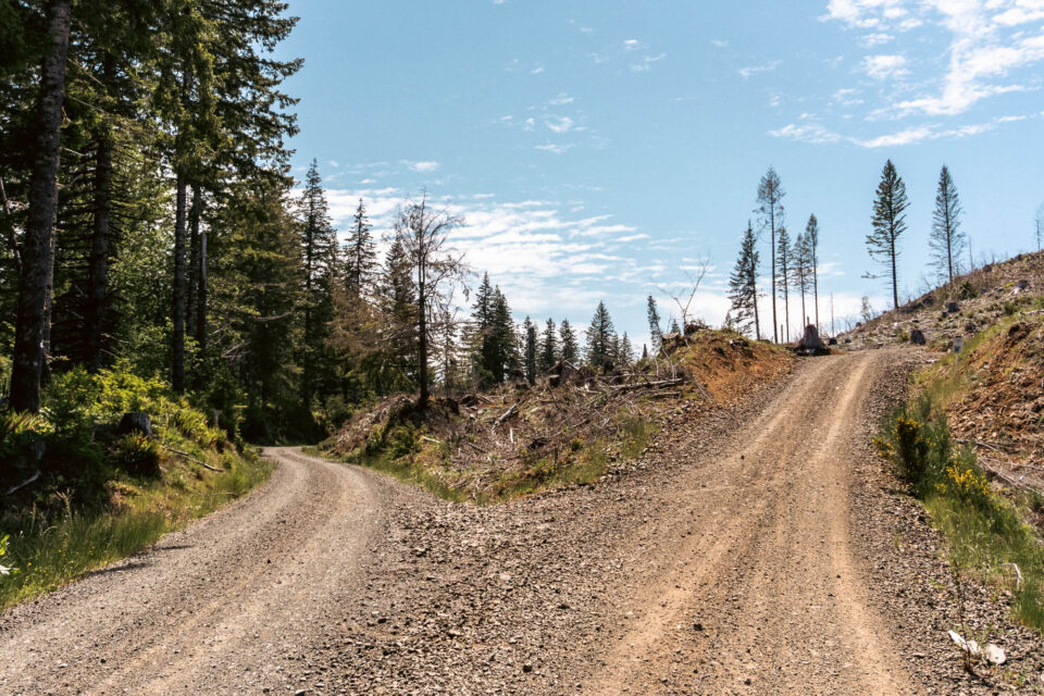 Three Counties: Bikepacking Western Oregon