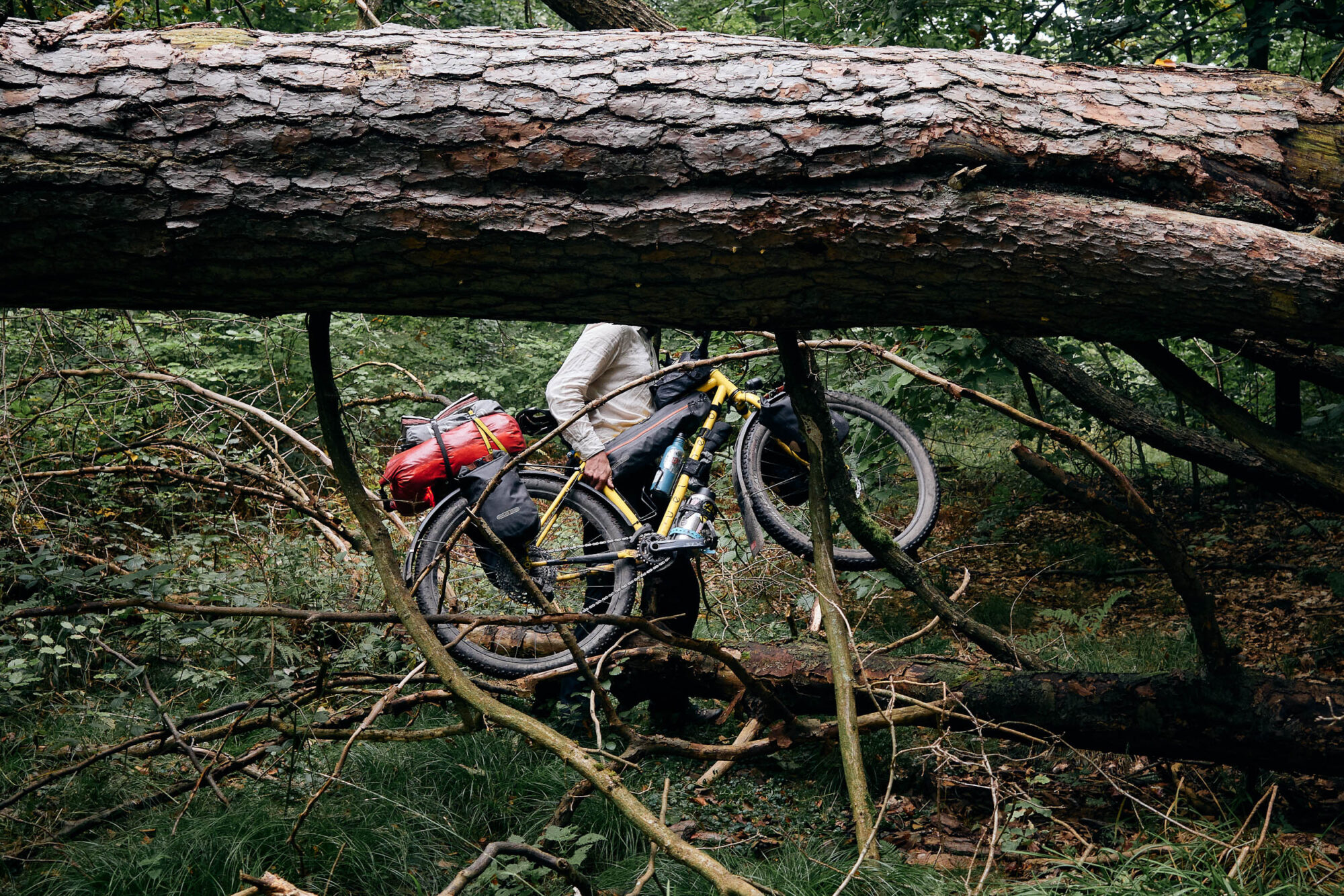 When We Get Komooted