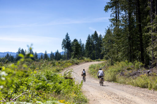 Alberni Bam Bam bikepacking route, Vancouver Island